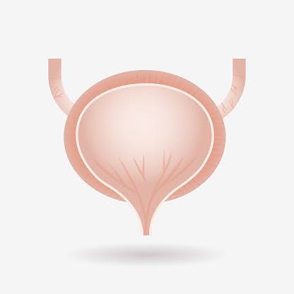 ¿Existe alguna forma de prevenir las infecciones urinarias?